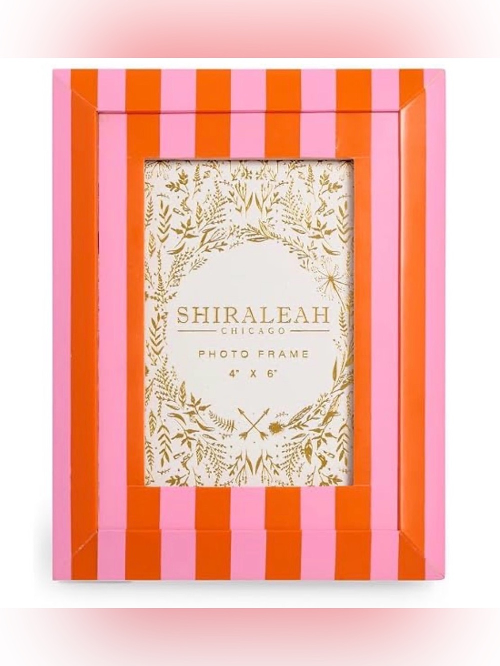 Shiraleah striped bevel frame NWT